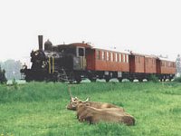 E 3-3 8522 (ex SBB 8522) (1913)